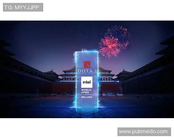 dota2观看比赛战旗-从战旗领略Dota 2的魅力-dota2观看比赛战旗