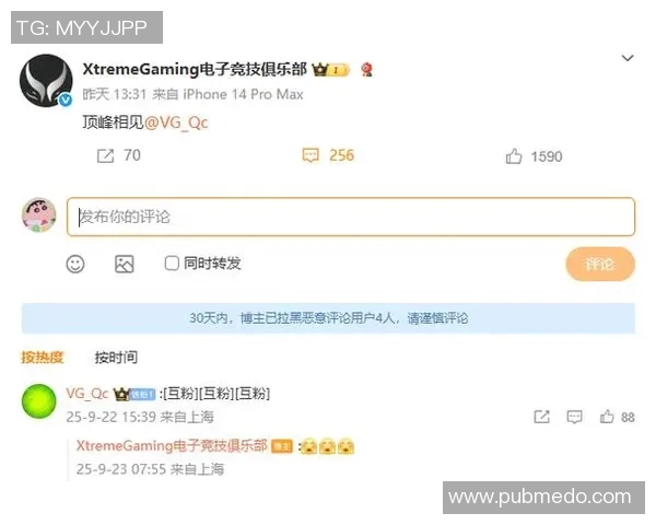 vg死亡宣告比赛id-VG战队中的死亡宣告，赛场上的激烈战斗与传奇ID的诞生-vg死亡宣告比赛id