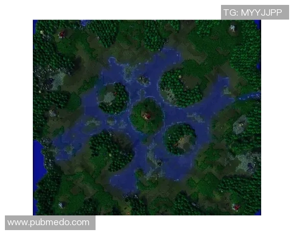 魔兽3c比赛地图-魔兽争霸之魔兽3C比赛地图的魅力-魔兽3c比赛地图